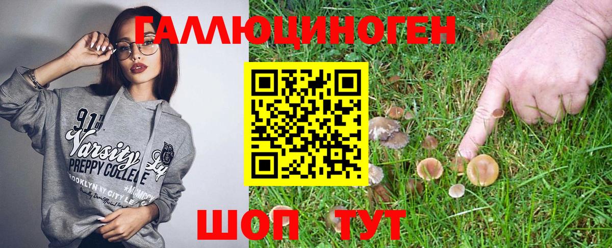 Камень-на-Оби  Псилоцибиновые грибы мухоморы  как найти   Вход с VPN 