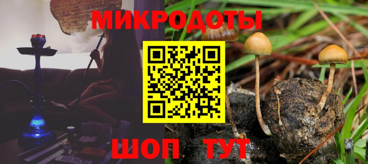 Галлюциногенные грибы мухоморы Камень-на-Оби